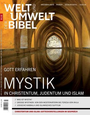 Welt und Umwelt der Bibel / Mystik von Delgado,  Mariano, Dinzelbacher,  Peter, Gosebrink,  Hildegard, Heininger,  Bernhard, Kügler,  Joachim, Leicht ,  Barbara, Mueller,  Andreas, Takim,  Abdullah, Talabardon,  Susanne, Zimmerling,  Peter