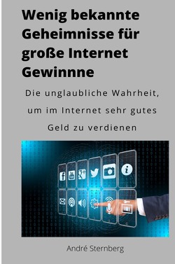 Wenig bekannte Geheimnisse für große Internet Gewinne von Sternberg,  Andre