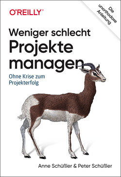 Weniger schlecht Projekte managen von Schüßler,  Anne, Schüßler,  Peter