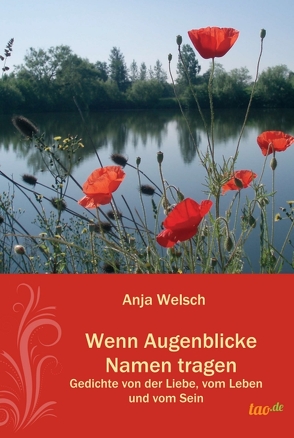 Wenn Augenblicke Namen tragen von Welsch,  Anja