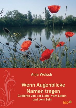 Wenn Augenblicke Namen tragen von Welsch,  Anja