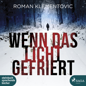 Wenn das Licht gefriert von Klementovic,  Roman, Wagener,  Ulla