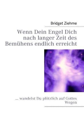 Wenn Dein Engel Dich nach langer Zeit des Bemühens endlich erreicht von Ziehme,  Bridget