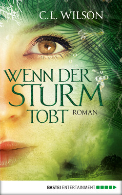 Wenn der Sturm tobt von Nirschl,  Anita, Wilson,  C.L.