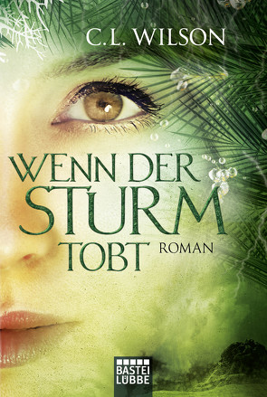 Wenn der Sturm tobt von Nirschl,  Anita, Wilson,  C.L.