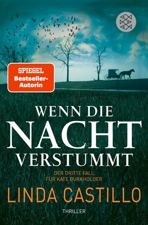 Wenn die Nacht verstummt von Augustin,  Helga, Castillo,  Linda