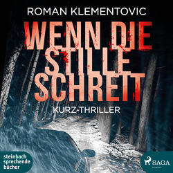 Wenn die Stille schreit von Klementovic,  Roman, Köhler,  Kris