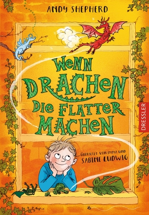 Wenn Drachen Sachen machen 3. Wenn Drachen die Flatter machen von Ludwig,  Emma, Ludwig,  Sabine, Ogilvie,  Sara, Shepherd,  Andy