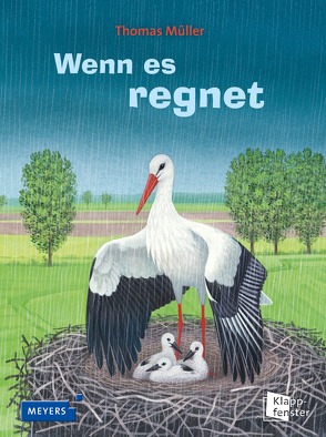 Wenn es regnet von Mueller,  Thomas