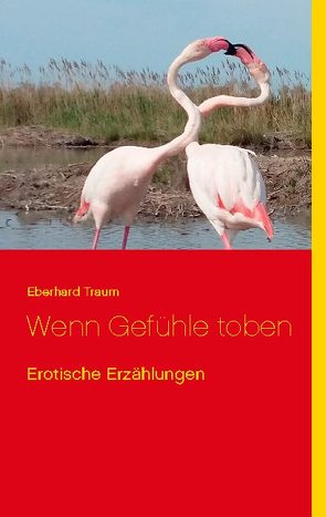 Wenn Gefühle toben von Traum,  Eberhard