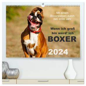 Wenn ich groß bin werd‘ ich Boxer (hochwertiger Premium Wandkalender 2024 DIN A2 quer), Kunstdruck in Hochglanz von Mielke,  Kerstin