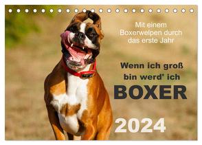 Wenn ich groß bin werd‘ ich Boxer (Tischkalender 2024 DIN A5 quer), CALVENDO Monatskalender von Mielke,  Kerstin