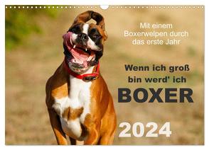 Wenn ich groß bin werd‘ ich Boxer (Wandkalender 2024 DIN A3 quer), CALVENDO Monatskalender von Mielke,  Kerstin