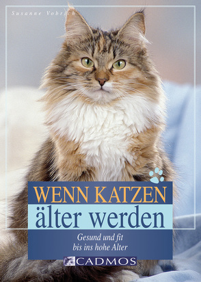 Wenn Katzen älter werden von Vorbrich,  Susanne