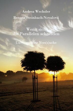 Wenn sich die Parallelen schneiden von Steinbach-Novalová,  Renata, Wechsler,  Andrea