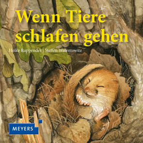 Wenn Tiere schlafen gehen (Mini) von Ruppender,  Heike, Walentowitz,  Steffen