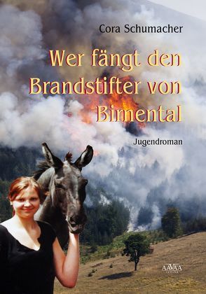 Wer fängt den Brandstifter von Birnental – Großdruck von Schumacher,  Cora