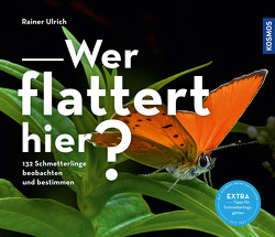 Wer flattert hier von Ulrich,  Rainer