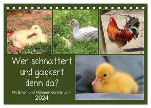 Wer gackert und schnattert denn da? Mit Enten und Hühnern durchs Jahr (Tischkalender 2024 DIN A5 quer), CALVENDO Monatskalender von Löwer,  Sabine