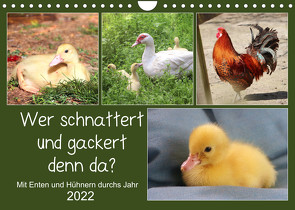 Wer gackert und schnattert denn da? Mit Enten und Hühnern durchs Jahr (Wandkalender 2022 DIN A4 quer) von Löwer,  Sabine