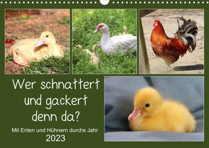 Wer gackert und schnattert denn da? Mit Enten und Hühnern durchs Jahr (Wandkalender 2023 DIN A3 quer) von Löwer,  Sabine