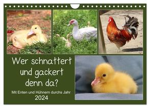 Wer gackert und schnattert denn da? Mit Enten und Hühnern durchs Jahr (Wandkalender 2024 DIN A4 quer), CALVENDO Monatskalender von Löwer,  Sabine