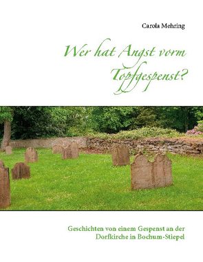 Wer hat Angst vorm Topfgespenst? von Mehring,  Carola