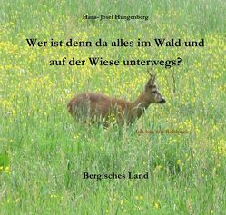 Wer ist denn da alles im Wald und auf der Wiese unterwegs? von Hungenberg,  Hans- Josef