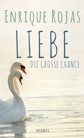 Liebe – die große Chance von Rojas,  Enrique