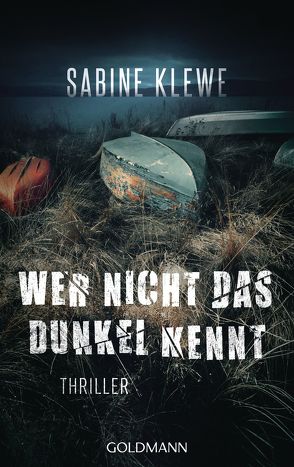 Wer nicht das Dunkel kennt von Klewe,  Sabine