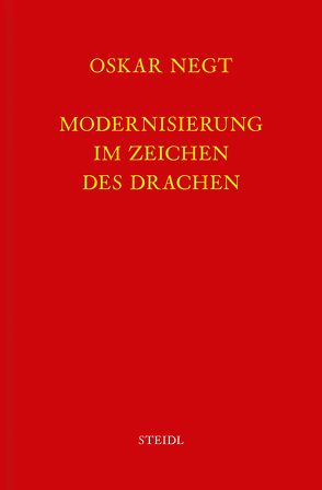 Werkausgabe Bd. 7 / Modernisierung im Zeichen des Drachen von Negt,  Oskar