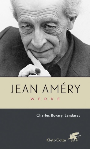 Werke. Bd. 4: Charles Bovary, Landarzt / Aufsätze zu Flaubert und Sartre (Werke, Bd. 4) von Améry,  Jean, Heidelberger-Leonard,  Irene, Kesting,  Hanjo