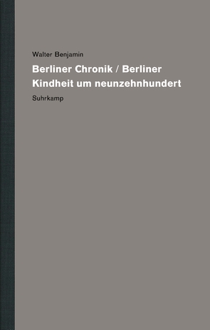 Werke und Nachlaß. Kritische Gesamtausgabe von Benjamin,  Walter, Lindner,  Burkhardt, Nowak,  Anja, Werner,  Nadine