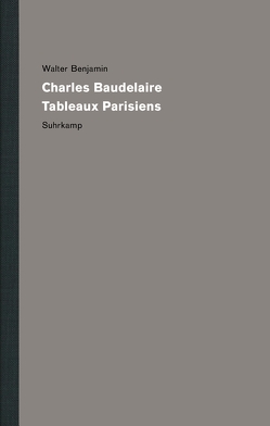 Werke und Nachlaß. Kritische Gesamtausgabe von Benjamin,  Walter, Birnbaum,  Antonia, Metayer,  Michel