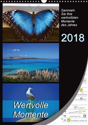 Wertvolle Momente – Sammeln Sie Ihre wertvollsten Momente (Wandkalender 2018 DIN A3 hoch) von Mowaru