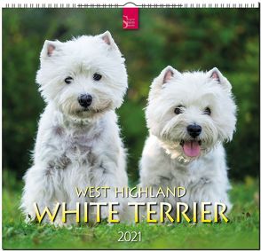 West Highland White Terrier