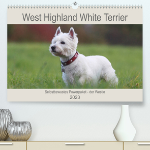 West Highland White Terrier – Selbstbewustes Powerpaket – der Westie (Premium, hochwertiger DIN A2 Wandkalender 2023, Kunstdruck in Hochglanz) von Mielewczyk,  Barbara