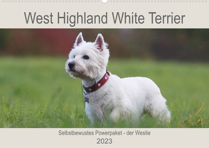 West Highland White Terrier – Selbstbewustes Powerpaket – der Westie (Wandkalender 2023 DIN A2 quer) von Mielewczyk,  Barbara