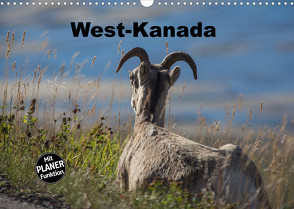 West-Kanada (Wandkalender 2023 DIN A3 quer) von Bort,  Gundis