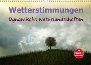 Wetterstimmungen. Dynamische Naturlandschaften (Wandkalender 2019 DIN A3 quer) von Brunner-Klaus,  Liselotte