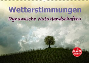 Wetterstimmungen. Dynamische Naturlandschaften (Wandkalender 2020 DIN A2 quer) von Brunner-Klaus,  Liselotte