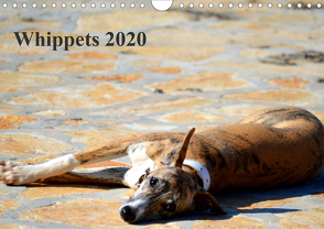 Whippet 2020AT-Version (Wandkalender 2020 DIN A4 quer) von Redl,  Ula