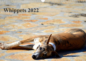 Whippet 2022AT-Version (Wandkalender 2022 DIN A3 quer) von Redl,  Ula