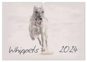 Whippet 2024 (Wandkalender 2024 DIN A2 quer), CALVENDO Monatskalender von Redecker,  Andrea