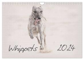 Whippet 2024 (Wandkalender 2024 DIN A4 quer), CALVENDO Monatskalender von Redecker,  Andrea