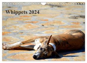 Whippet 2024 (Wandkalender 2024 DIN A4 quer), CALVENDO Monatskalender von Redl,  Ula