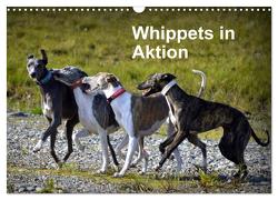 Whippets in Aktion (Wandkalender 2024 DIN A3 quer), CALVENDO Monatskalender von Redl,  Ula