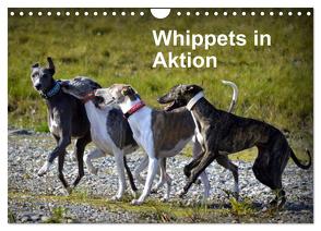 Whippets in Aktion (Wandkalender 2024 DIN A4 quer), CALVENDO Monatskalender von Redl,  Ula