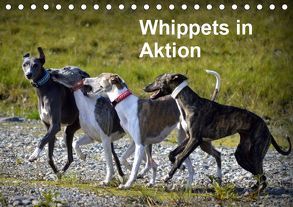 Whippets in AktionAT-Version (Tischkalender 2019 DIN A5 quer) von Redl,  Ula