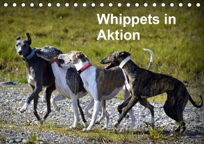 Whippets in AktionAT-Version (Tischkalender 2021 DIN A5 quer) von Redl,  Ula